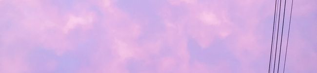 ☆ひよこちゃん's header image