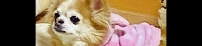 さくらとあいちゃん♡'s header image