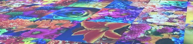 クックQ8R1XN☆'s header image
