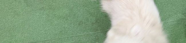 レシピ備忘録's header image