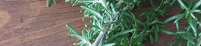 クックKUEVIS☆'s header image