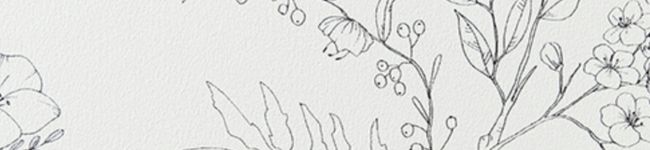 suzu_saku's header image