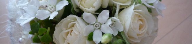 MaMaRiLi's header image