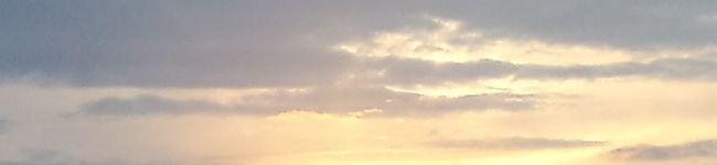花嫁になりたい子's header image