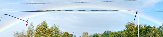 pumooi's header image