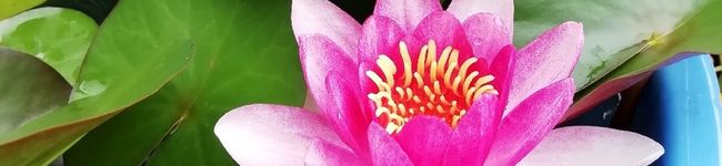 亜都璃's header image