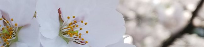 おみずクック☆'s header image
