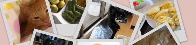 てんしゃんまま's header image