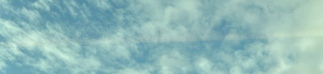 美穂蜜柑's header image