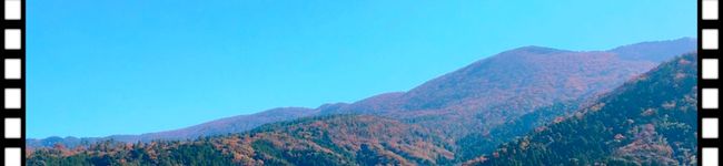 HOPBABYs's header image