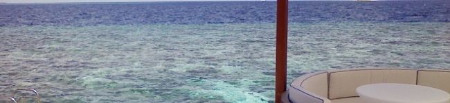 由佳代子's header image