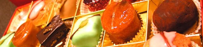 aster_ryo's header image