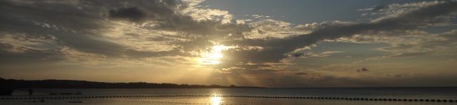 葵＊＊'s header image