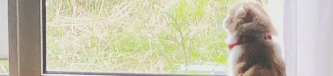 ☆MAMA04☆'s header image