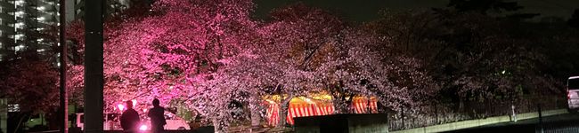 みつき☆☆☆'s header image