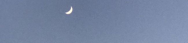kokitchen's header image