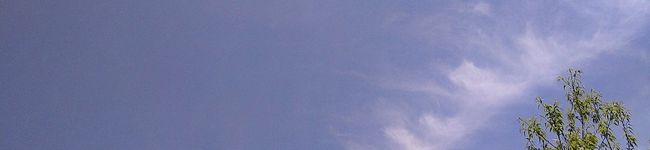 ぎん＊ぞう's header image