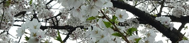 kazutan1029's header image