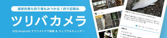 ツリバカメラ's header image