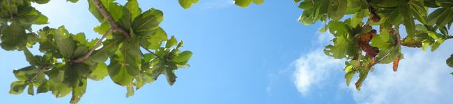 ナオケンママ's header image