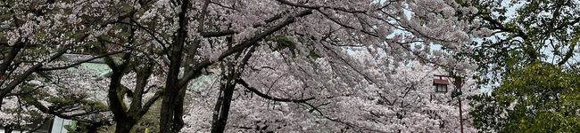 独身ズボラ男's header image