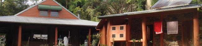 littlemiss's header image