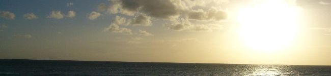ミスティッチ's header image