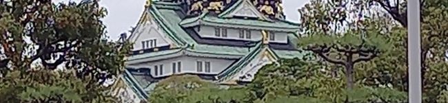 ひろパパです's header image