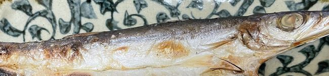 にゃー飯's header image