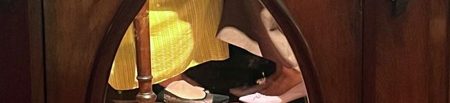 api20♡'s header image