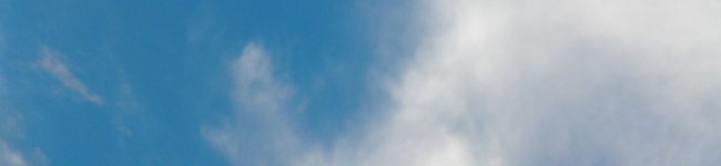 ミニ子ちゃん's header image