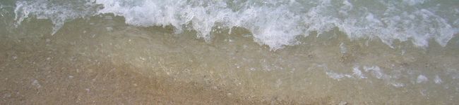 yumiffy74's header image