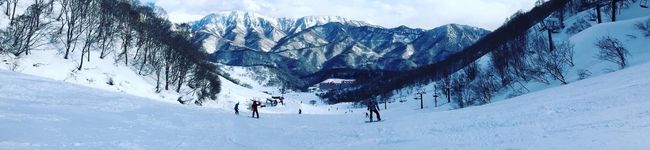 Yayanito's header image