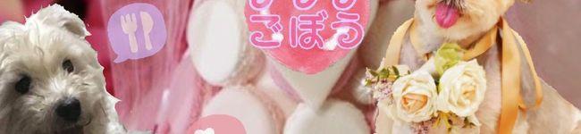 クラゲごぼう's header image