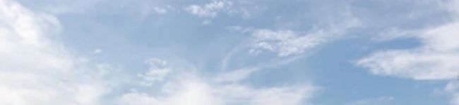 ひつじのメイ♡'s header image