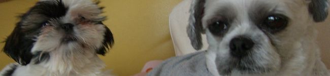 july482136's header image