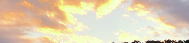 グミぽん's header image