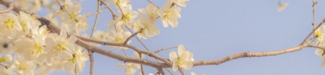 hr0122rn's header image