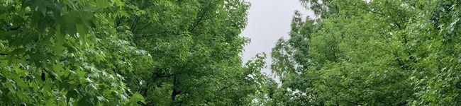 すうキッチン's header image