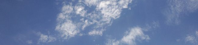 swallow34's header image
