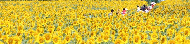 清瀬市's header image