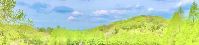 31ﾁｬﾝsごはーん's header image
