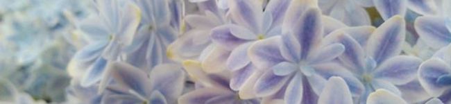 密吉の備忘録's header image