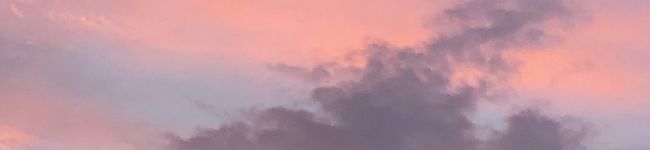 sara021's header image