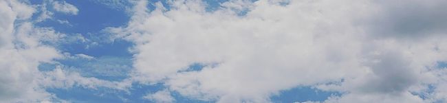milkﾁｬﾝ♪'s header image