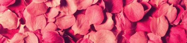 MARHABY's header image
