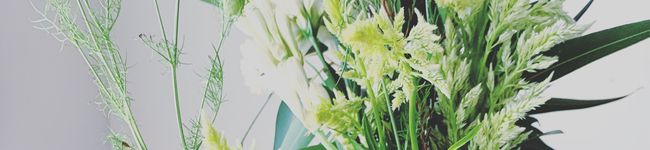 mtm_dish's header image
