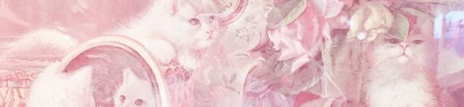 🎀's header image