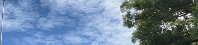 miyo_n's header image
