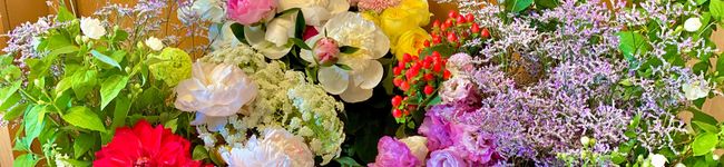 aoi711's header image